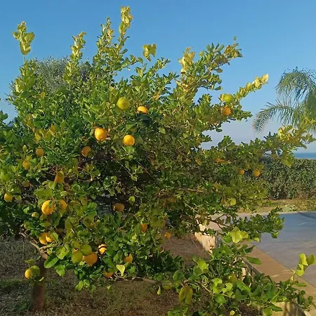 Semesterbostad Samir *