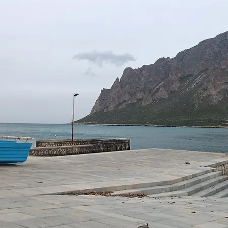 Samir * Кустоначи